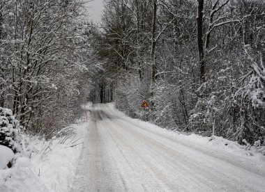 Ormandan geçen buzlu ve karlı bir kış yolu. Fotoğraf: İskandinav, İsveç