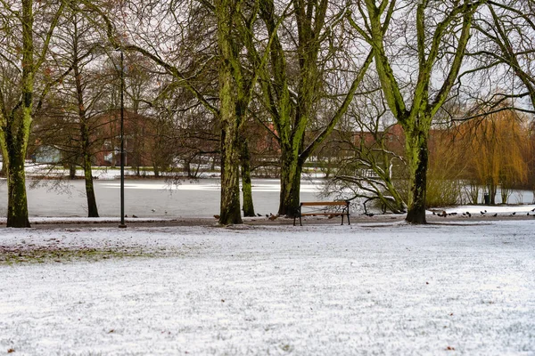 Une photo d'hiver d'un parc. Photo du comté de Scania, Suède — Photo