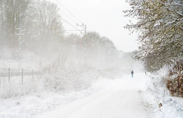 Lodowata i śnieżna zimowa droga przebiegająca przez las. Zdjęcie z Scania, Szwecja — Zdjęcie stockowe