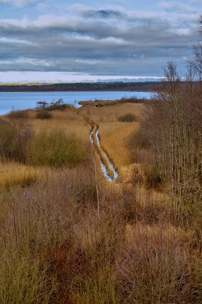 Een uitzicht op een moeras gevuld met riet. Een meer op de achtergrond. Foto uit Lund, Zweden — Stockfoto