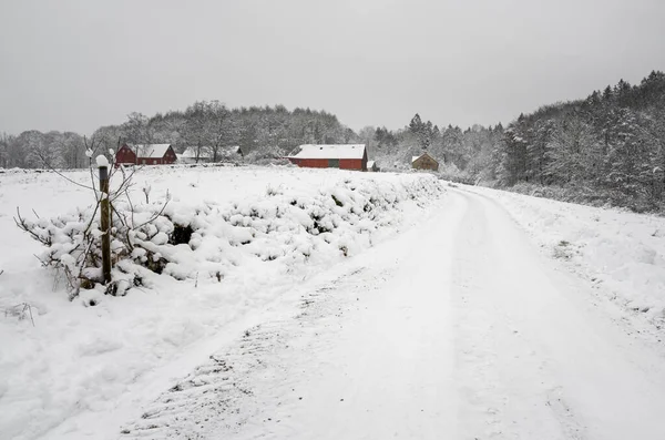 Lodowata i śnieżna zimowa droga przebiegająca przez łąkę i leśny krajobraz. Zdjęcie z Scania, Szwecja — Zdjęcie stockowe