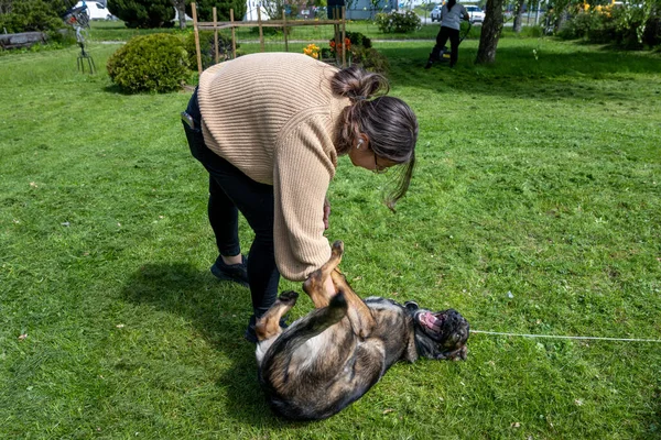 Une adolescente joue avec un heureux chiot berger allemand de six mois. Herbe verte et un ciel bleu en arrière-plan — Photo