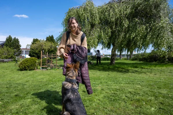 Une adolescente joue avec un heureux chiot berger allemand de six mois. Herbe verte et un ciel bleu en arrière-plan — Photo