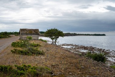 Arka planda dramatik bir gökyüzü olan güzel bir deniz kıyısı.