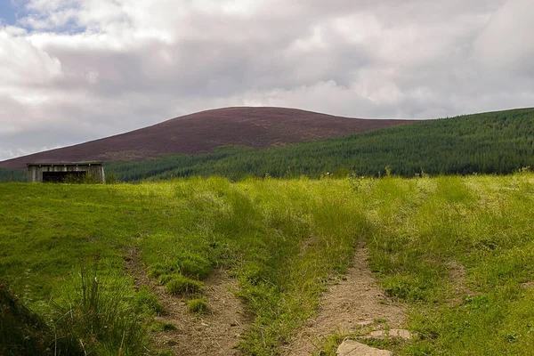 브람스 공원의 하이킹 트레일 Glen Dye Aberdeenshire Scotland — 스톡 사진