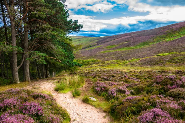 在凯恩斯国家公园的远足小径 Glen Dye Aberdeenshire Scotland — 图库照片