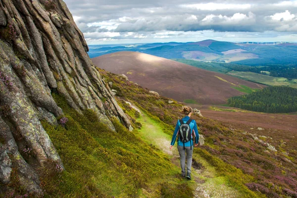 Senderista Caminando Parque Nacional Cairngorms Ruta Colina Clachnaben Glen Dye — Foto de Stock