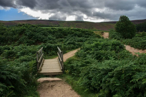 Trilha Caminhada Parque Nacional Cairngorms Glen Dye Aberdeenshire Escócia Reino — Fotografia de Stock