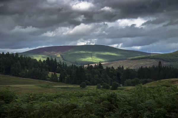 Szlak Turystyczny Parku Narodowym Cairngorms Glen Dye Aberdeenshire Szkocja — Zdjęcie stockowe