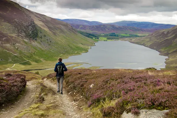 Mujer Con Mochila Está Haciendo Senderismo Parque Nacional Cairngorms Vista — Foto de Stock