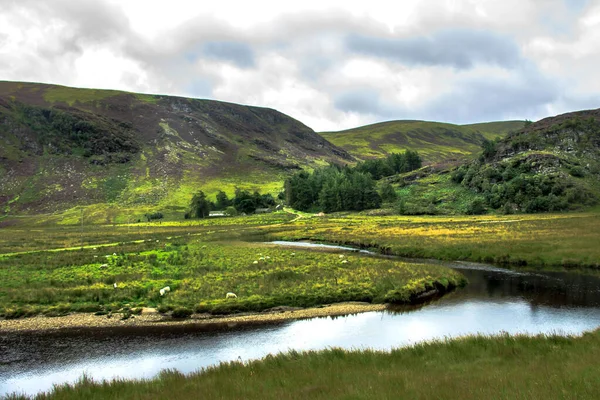 Vandringsled Kairngorms Nationalpark Glen Lee Angus Skottland Storbritannien — Stockfoto