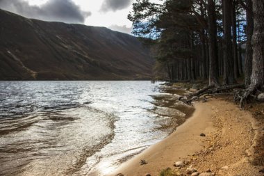 Royal Deeside 'daki Loch Muick Gölü' nün etrafında. Ballater, Aberdeenshire, İskoçya, İngiltere. Cairngorms Ulusal Parkı. İskoçya manzarası. 