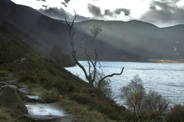 Weg Loch Muick Royal Deeside Ballater Aberdeenshire Schottland Großbritannien Cairngorms — Stockfoto