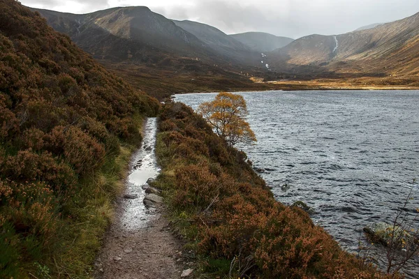 在皇家迪塞德的Loch Muick周围的路英国苏格兰 阿伯丁郡 压路人 凯恩斯国家公园 苏格兰景观 — 图库照片