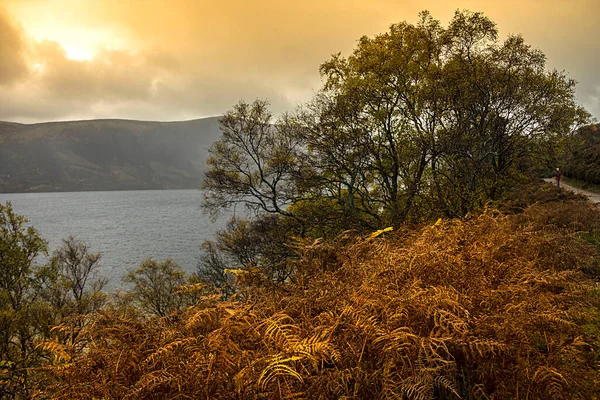 Cesta Kolem Loch Muick Royal Deeside Ballater Aberdeenshire Scotland Národní — Stock fotografie