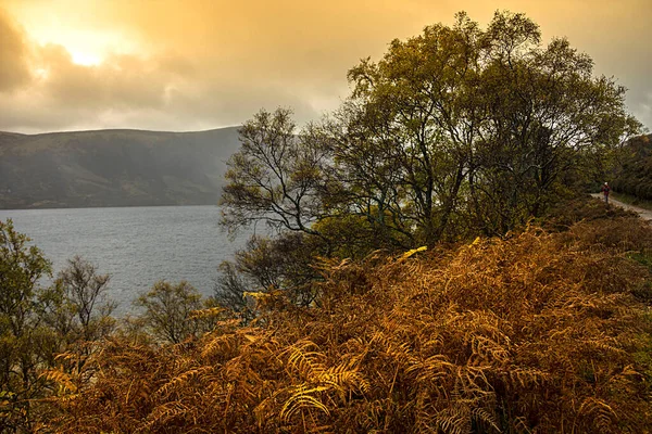 Vägen Runt Loch Muick Royal Deeside Ballater Aberdeenshire Skottland Storbritannien — Stockfoto