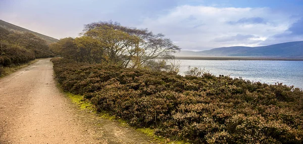 Путь Вокруг Лох Мьюика Роял Дисайд Баллатер Абердиншир Шотландия Великобритания — стоковое фото
