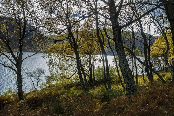 Μονοπάτι Γύρω Από Loch Muick Στο Royal Deeside Ballater Aberdeenshire — Φωτογραφία Αρχείου