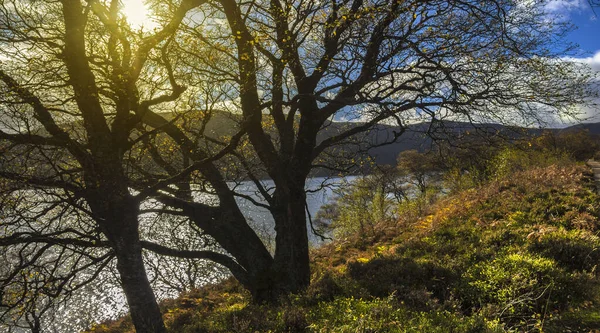 Cesta Kolem Loch Muick Royal Deeside Ballater Aberdeenshire Scotland Národní — Stock fotografie