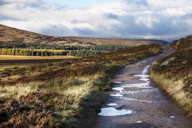 Cairngorms Ulusal Parkı. Ballater, Royal Deeside, Aberdeenshire, İskoçya, İngiltere