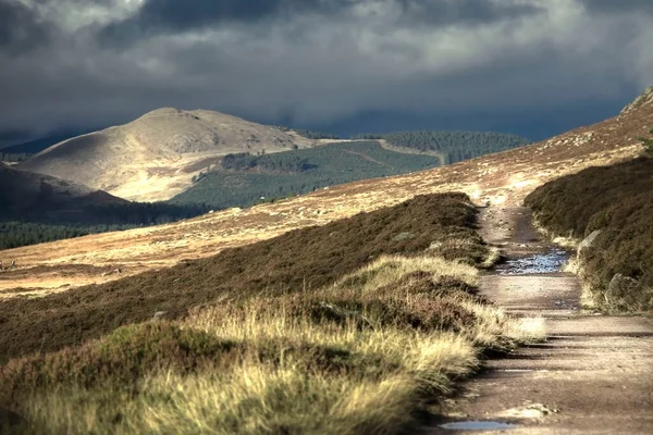 Parque Nacional Cairngorms Ballater Royal Deeside Aberdeenshire Escócia Reino Unido — Fotografia de Stock