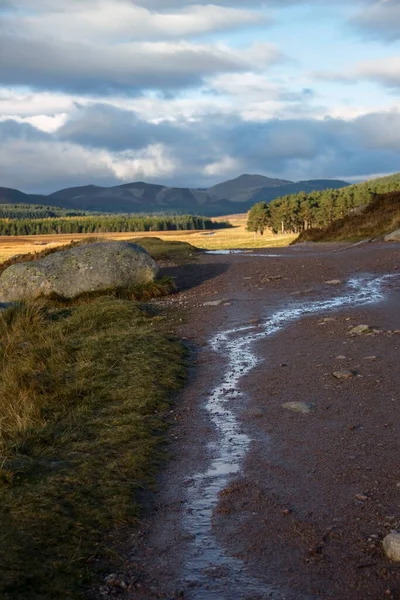 Parque Nacional Cairngorms Ballater Royal Deeside Aberdeenshire Escocia Reino Unido — Foto de Stock