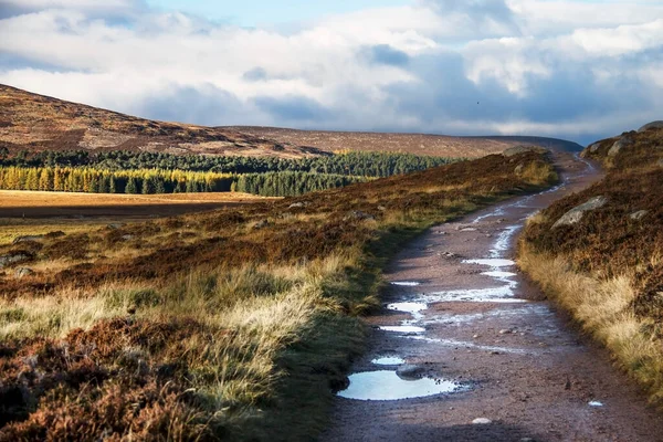 Parque Nacional Cairngorms Ballater Royal Deeside Aberdeenshire Escócia Reino Unido — Fotografia de Stock