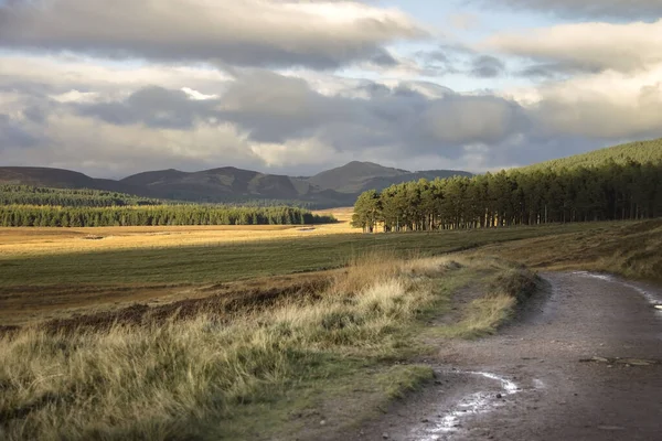 Parque Nacional Cairngorms Ballater Royal Deeside Aberdeenshire Escócia Reino Unido — Fotografia de Stock