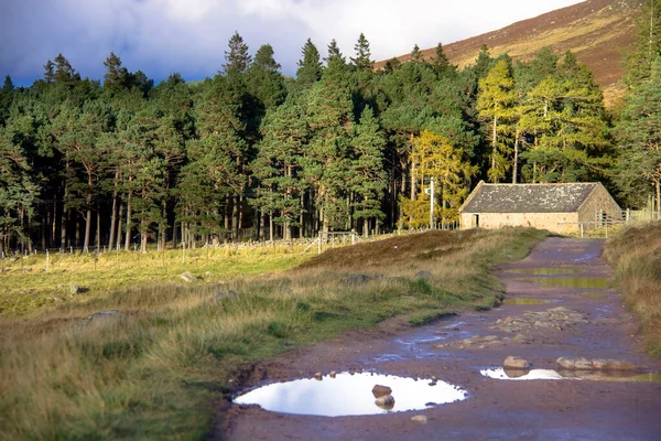 Schottische Landschaft Cairngorms National Park Ballater Aberdeenshire Schottland Großbritannien — Stockfoto