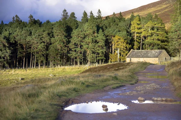 Cairngorms Ulusal Parkı 'ndaki İskoç manzarası. Ballater, Aberdeenshire, İskoçya, İngiltere.