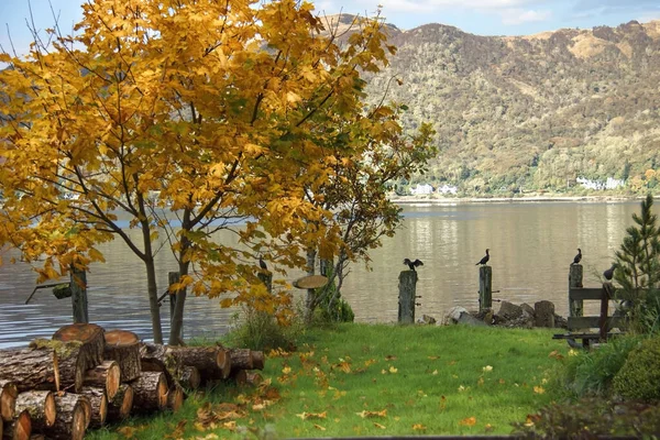 Осень Лох Линне Шотландском Нагорье Kenneallen Argyll Bute Scotland — стоковое фото