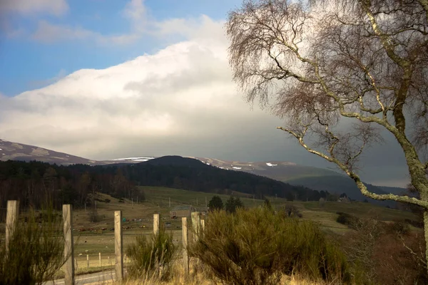 Paisagem Rural Escocesa Royal Deeside Entre Ballater Braemar Cairngorms National — Fotografia de Stock