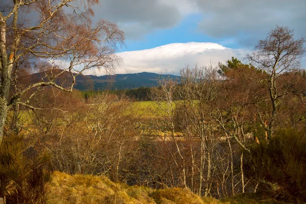 Escocés Paisaje Rural Royal Deeside Entre Ballater Braemar Parque Nacional — Foto de Stock