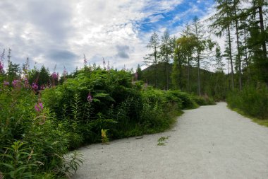 Cairngorms Ulusal Parkı, Aberdeenshire, İskoçya, İngiltere. İskoç kırsal arazisi.