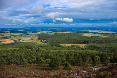 Cairngorms Ulusal Parkı, Aberdeenshire, İskoçya, İngiltere. İskoç kırsal arazisi.