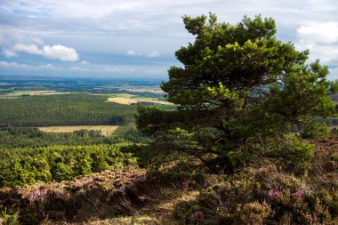 Cairngorms Ulusal Parkı, Aberdeenshire, İskoçya, İngiltere. İskoç kırsal arazisi.