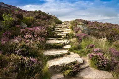 Aberdeenshire, İskoçya 'daki Bennachie' nin Mither Tap 'ine giden merdiven.