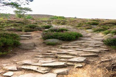 İskoç kırsal arazisi ve Cairngorms, Aberdeenshire, İskoçya, İngiltere 'de yürüyüş patikası