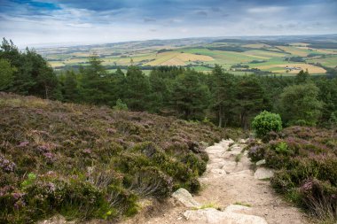 İskoç kırsal arazisi ve Cairngorms, Aberdeenshire, İskoçya, İngiltere 'de yürüyüş patikası