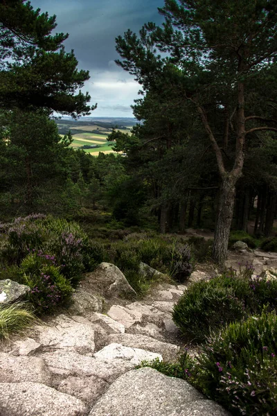 Paisagem Rural Escocesa Trilha Caminhada Cairngorms Aberdeenshire Escócia Reino Unido — Fotografia de Stock