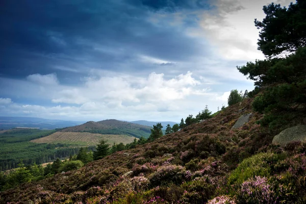 英国苏格兰阿伯登郡凯恩斯根姆的苏格兰乡村景观和远足小径 — 图库照片
