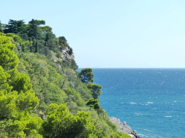 Deniz ve skala. Kırım manzarası. Cape Al-Todor 'un güney kıyısındaki çam ağacı. Gaspra köyünün alanı (Yalta 'nın bir kısmı, 70 kilometreden fazla bir alan)).