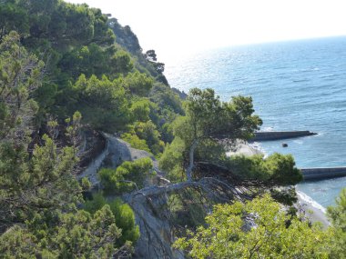 Deniz Burnu. Sahilin ve sahil şeridinin en üst manzarası. Güney Kırım. Kadife mevsimi. Gaspra köyünün alanı (Yalta 'nın bir kısmı, 70 kilometreden fazla bir alan)).