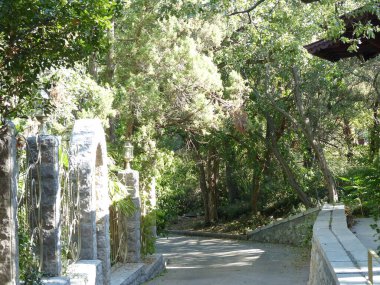 South Park 'taki Evergreen Selvi ve ardıçlara. Yaz akşamı. Kırım manzarası. Gaspra köyünün alanı (Yalta 'nın bir kısmı, 70 kilometreden fazla bir alan)).