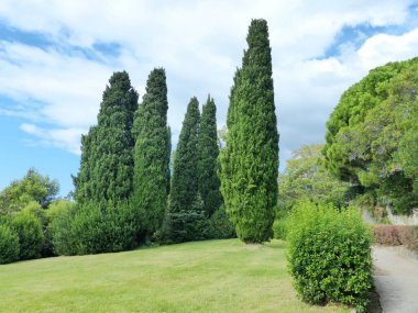 Vorontsov Sarayı Parkı. Vorontsov Sarayı (Alupka) - 1828-1848 yılları arasında ünlü İngiliz mimar Edward Blore tarafından inşa edilen bir romantizm anıtı.