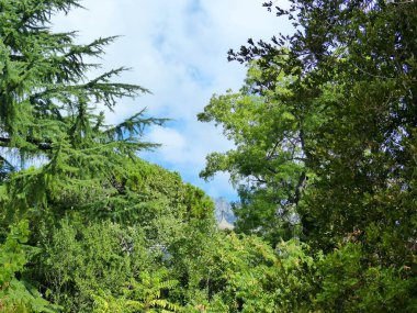 Vorontsov Sarayı Parkı. Vorontsov Sarayı (Alupka) - 1828-1848 yılları arasında ünlü İngiliz mimar Edward Blore tarafından inşa edilen bir romantizm anıtı.