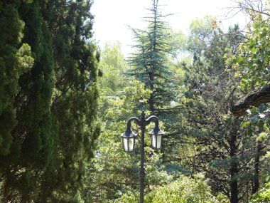 Saray 'dan Park Dulber. Doğu tarzı bina, Büyük Dük Peter Romanov 'un çizimlerine göre 1895-1897 yılları arasında Kahire' deki antik tapınak binalarının ruhuna göre inşa edilmiştir.