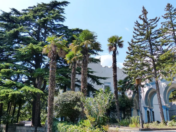 Saray 'dan Park Dulber. Doğu tarzı bina, Büyük Dük Peter Romanov 'un çizimlerine göre 1895-1897 yılları arasında Kahire' deki antik tapınak binalarının ruhuna göre inşa edilmiştir.