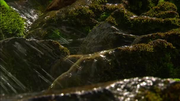 Arroyo Fluvial Salpicaduras Agua Cayendo Río Taiga — Vídeos de Stock