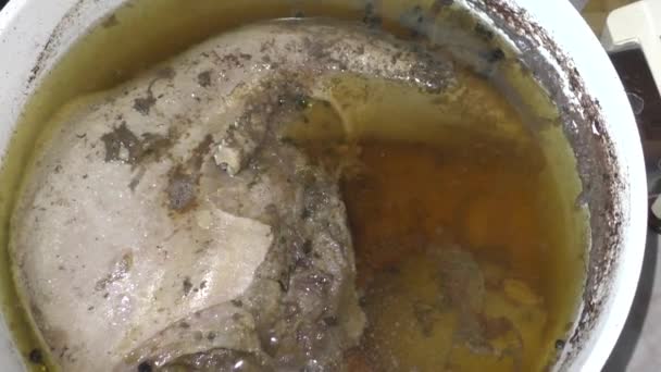 Cocinar Lengua Ternera Lengua Res Verdadero Manjar Que Perfecto Como — Vídeos de Stock